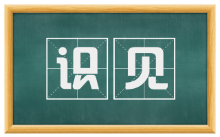 识见