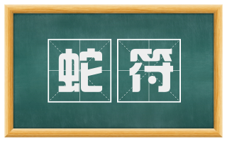 蛇符
