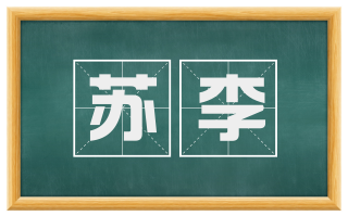苏李