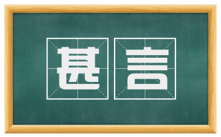甚言
