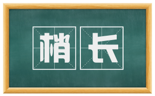 梢长