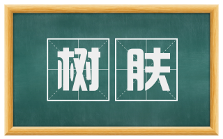 树肤