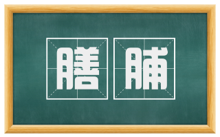 膳脯