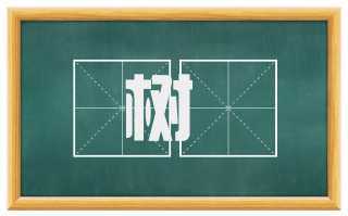 树榦