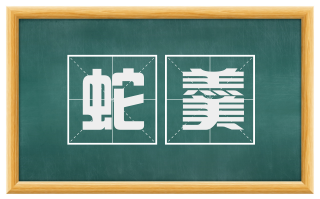 蛇羹