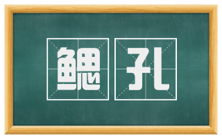 鳃孔