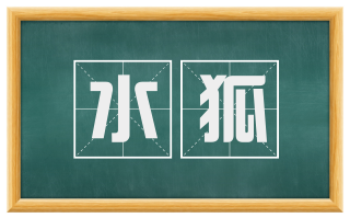 水狐
