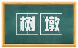 树墩