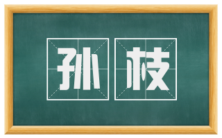 孙枝