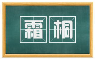 霜桐