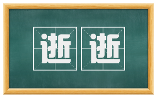 逝逝