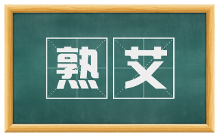 熟艾