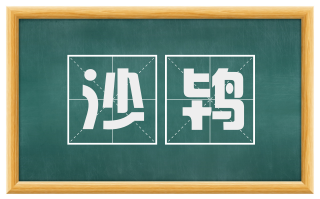 沙鸨