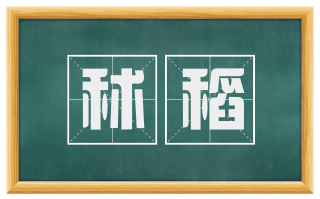 秫稻