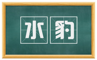 水豹