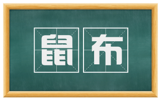 鼠布