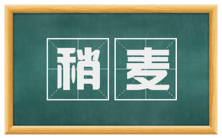 稍麦