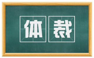 体裁
