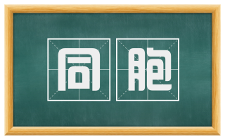 同胞