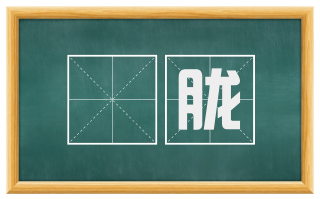 朣胧