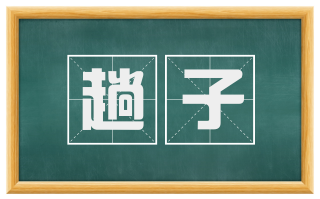 趟子