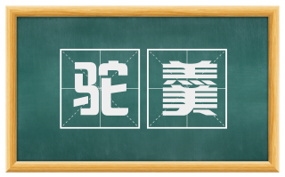 驼羹