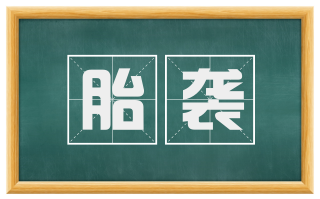 胎袭