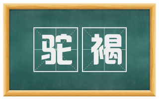驼褐