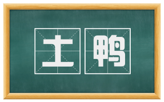 土鸭