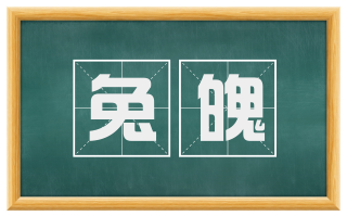 兔魄