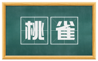 桃雀
