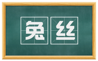 兔丝
