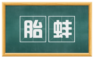 胎蚌