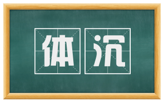 体沉
