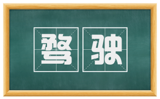 骛驶