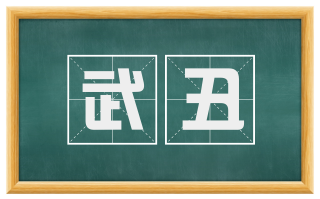 武丑