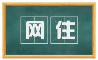 网住