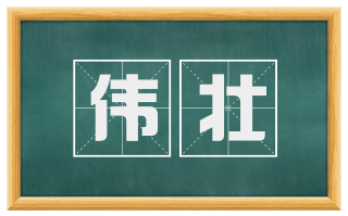 伟壮