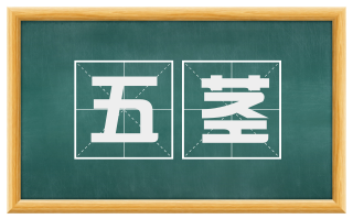 五茎