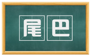尾巴