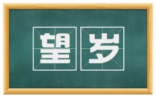 望岁