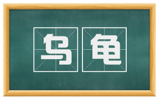 乌龟