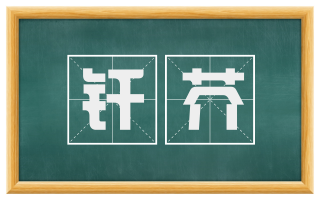 纤芥