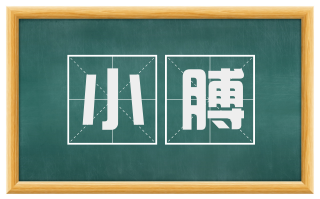 小膊