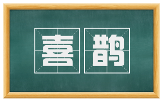 喜鹊