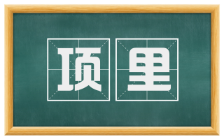 项里