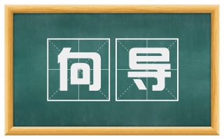 向导