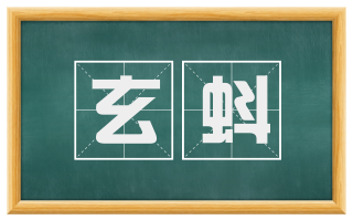 玄蚪