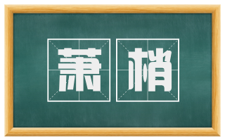 萧梢
