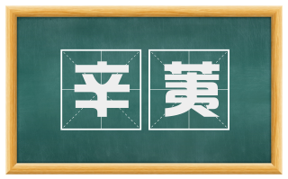 辛荑